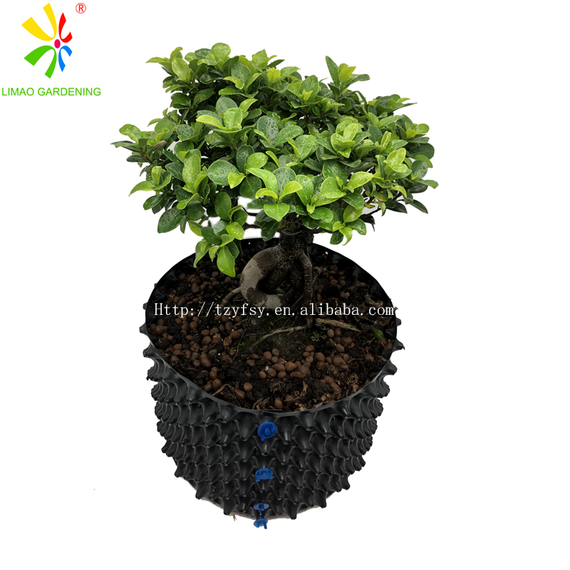 air pruning pots for tree