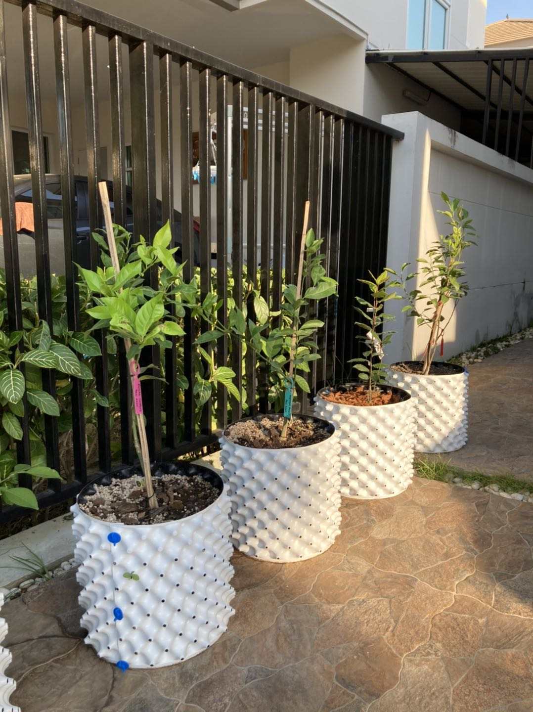 white air pruning pots for root plant container